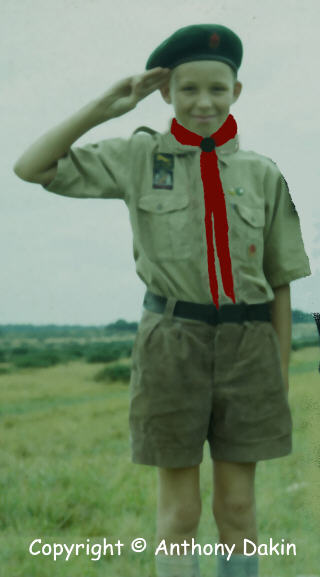 Scout